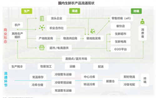 阿里 京东 顺丰 拼多多都在布局的农产品供应链,到底是什么